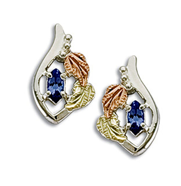 ER1778-SS-455-600x617 Sterling Black Hills Silver Tanzanite Earrings