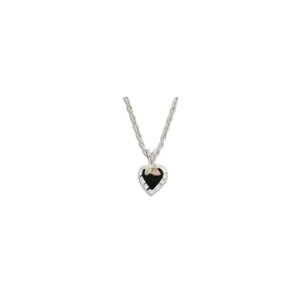 PE3688-SS-300x300 Sterling Silver Necklace with Onyx Heart Pendant