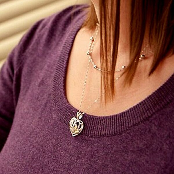 mrlpe3815-silver-heart-necklace-3-600x600 Sterling Black Hills Silver Double Layer Heart Pendant
