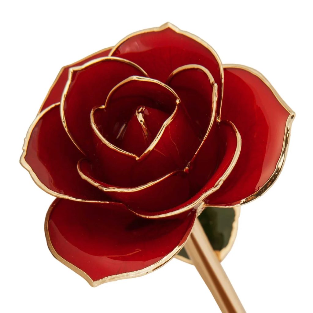 Ravishing Red Gold Dipped Rose