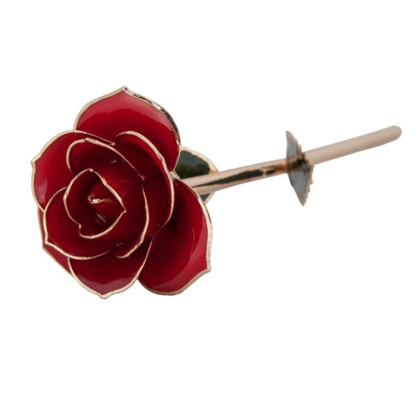 r83969948-2-600x600 Ravishing Red Gold Dipped Rose