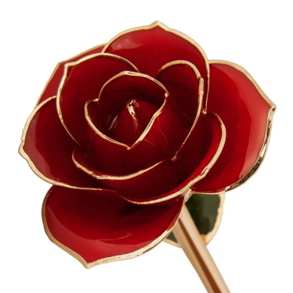 r83969948-600x600 Ravishing Red Gold Dipped Rose