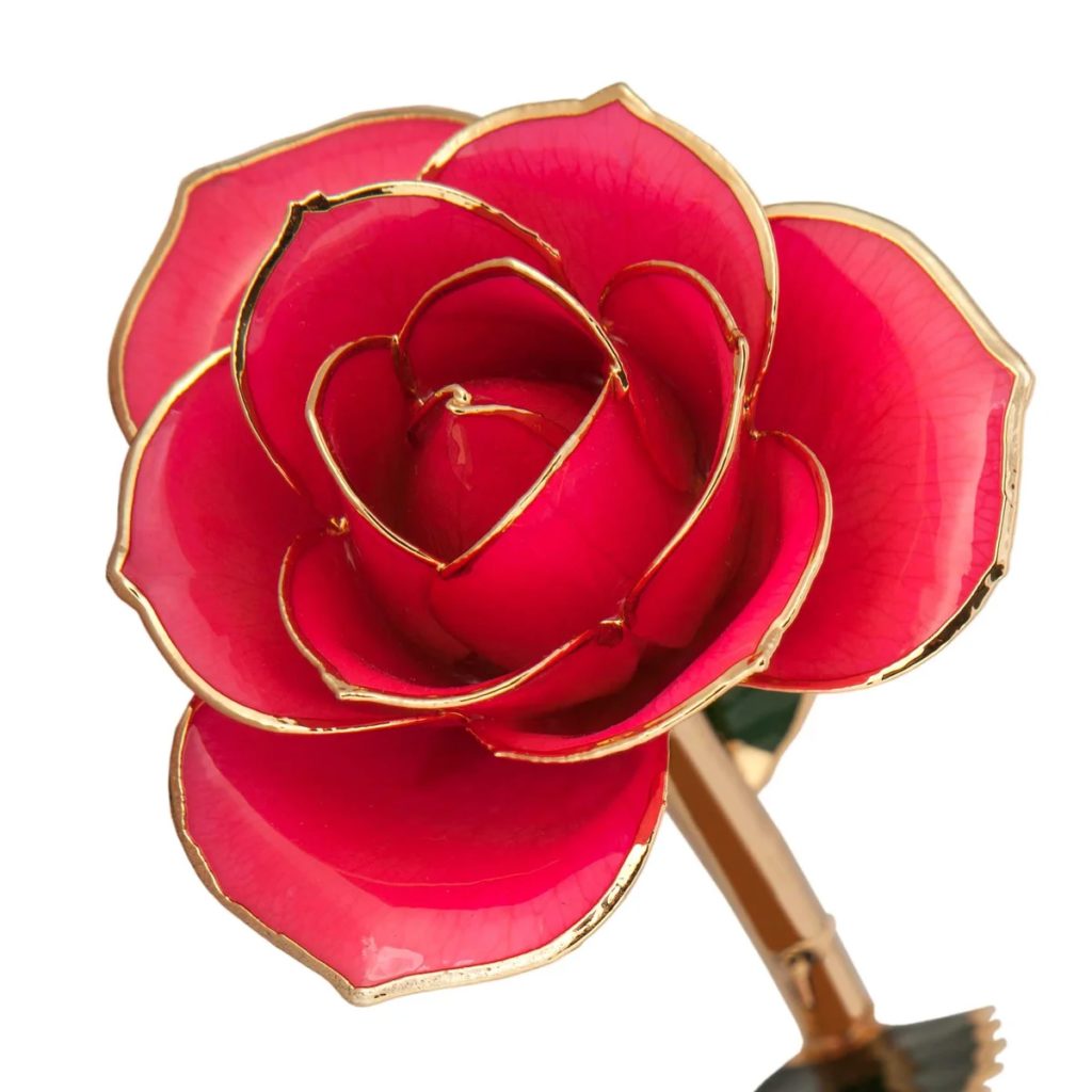 Pretty In Pink Gold Dipped Rose