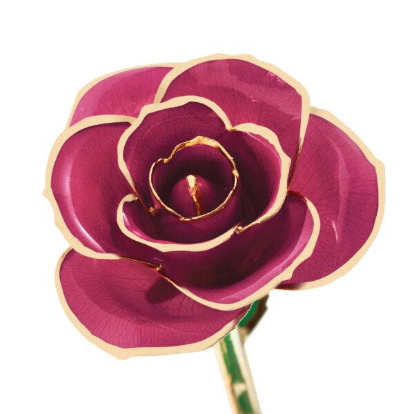 r286843-600x600 Lovely Lavender Gold Dipped Rose