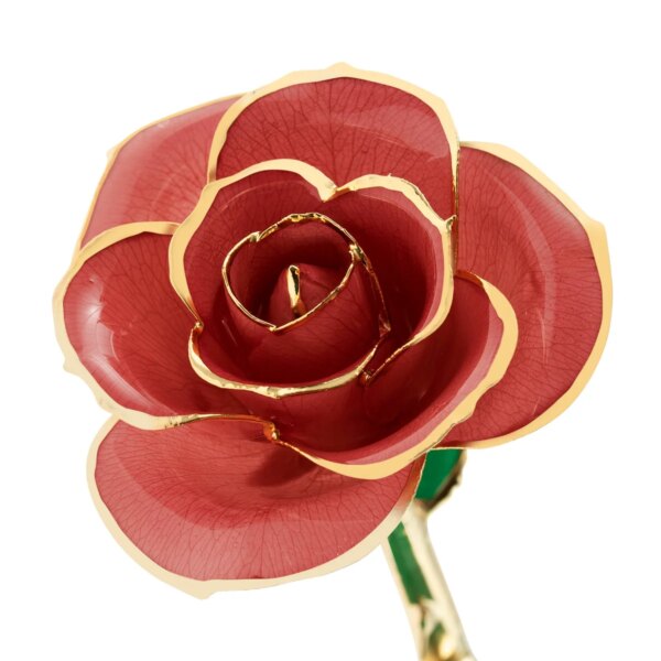 r286845-600x600 Evening Coral Gold Dipped Rose