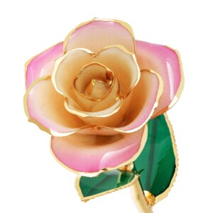 r286855-300x300 Blushed Pink Gold Dipped Rose