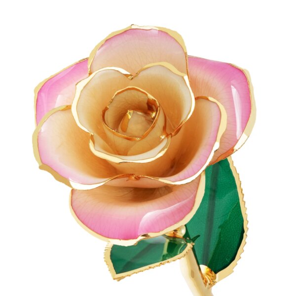 r286855-600x600 Blushed Pink Gold Dipped Rose