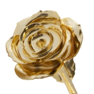 r308281-300x300 Glamorous Gold Dipped Rose