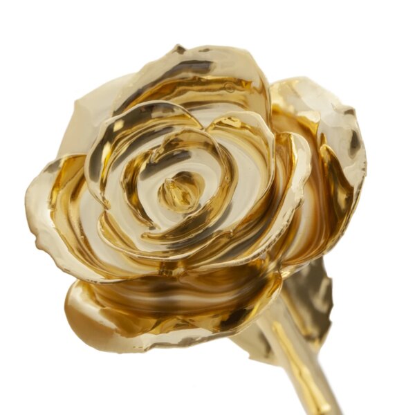 r308281-600x600 Glamorous Gold Dipped Rose