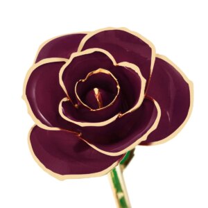 r360899-300x300 Burgundy Wine Gold Dipped Rose