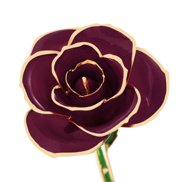 r360899-600x600 Burgundy Wine Gold Dipped Rose