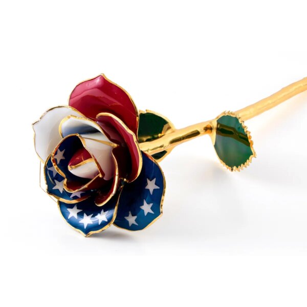r369589-2-600x600 American Glory Gold Dipped Rose