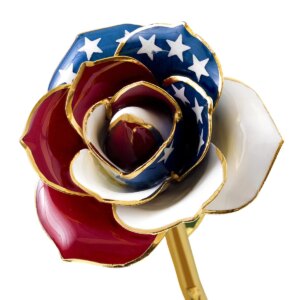 r369589-300x300 American Glory Gold Dipped Rose