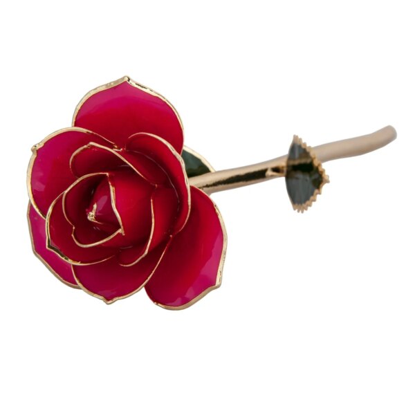 r83969964-2-600x600 Luscious Pink Gold Dipped Rose