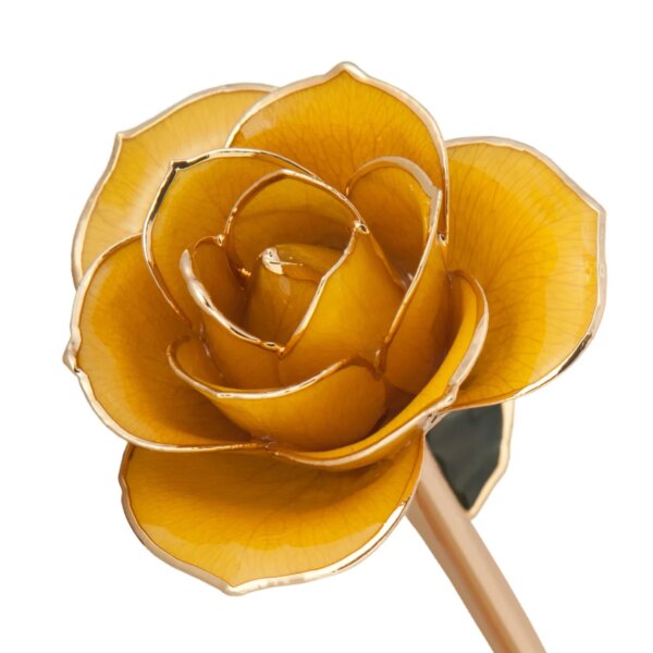 r83970021-600x600 Sunshine Yellow Gold Dipped Rose