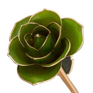 r83970034-300x300 Mossy Green Gold Dipped Rose