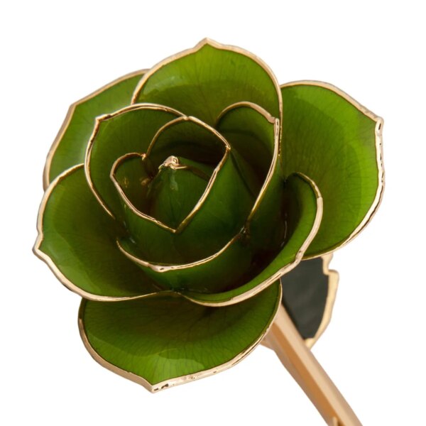 r83970034-600x600 Mossy Green Gold Dipped Rose