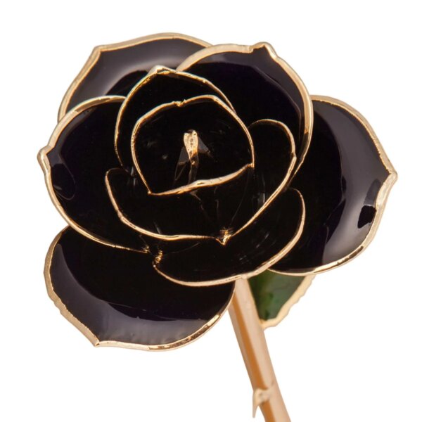 r83970050-600x600 Diamond Black Gold Dipped Rose