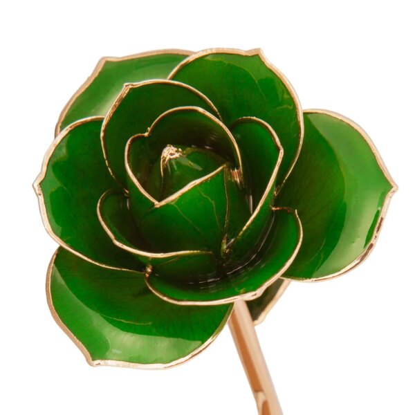 r83970063-600x600 Lucky Green Gold Dipped Rose