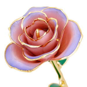 blushed-lilac-gold-dipped-rose-300x300 Home