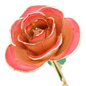blushed-red-gold-dipped-rose-300x300 Blushed Red Gold Dipped Rose