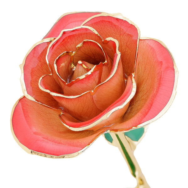 blushed-red-gold-dipped-rose-600x600 Blushed Red Gold Dipped Rose
