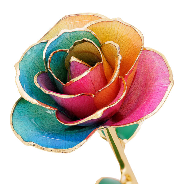 boho-beauty-gold-dipped-rose-600x600 Boho Beauty Gold Dipped Rose