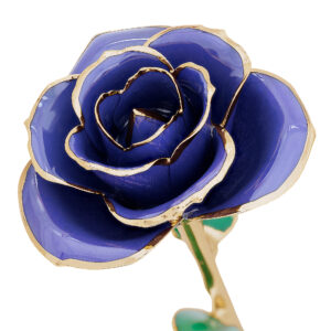 imperial-purple-gold-dipped-rose-300x300 Imperial Purple Gold Dipped Rose