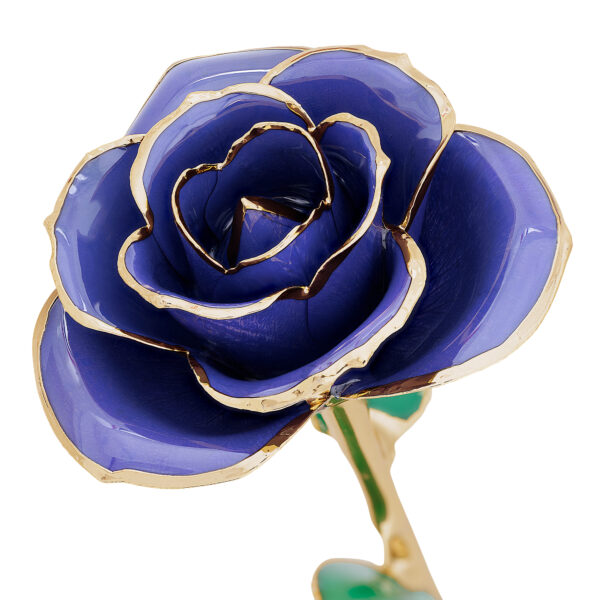imperial-purple-gold-dipped-rose-600x600 Imperial Purple Gold Dipped Rose
