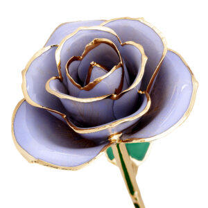 sweet-lilac-gold-dipped-rose-300x300 Home